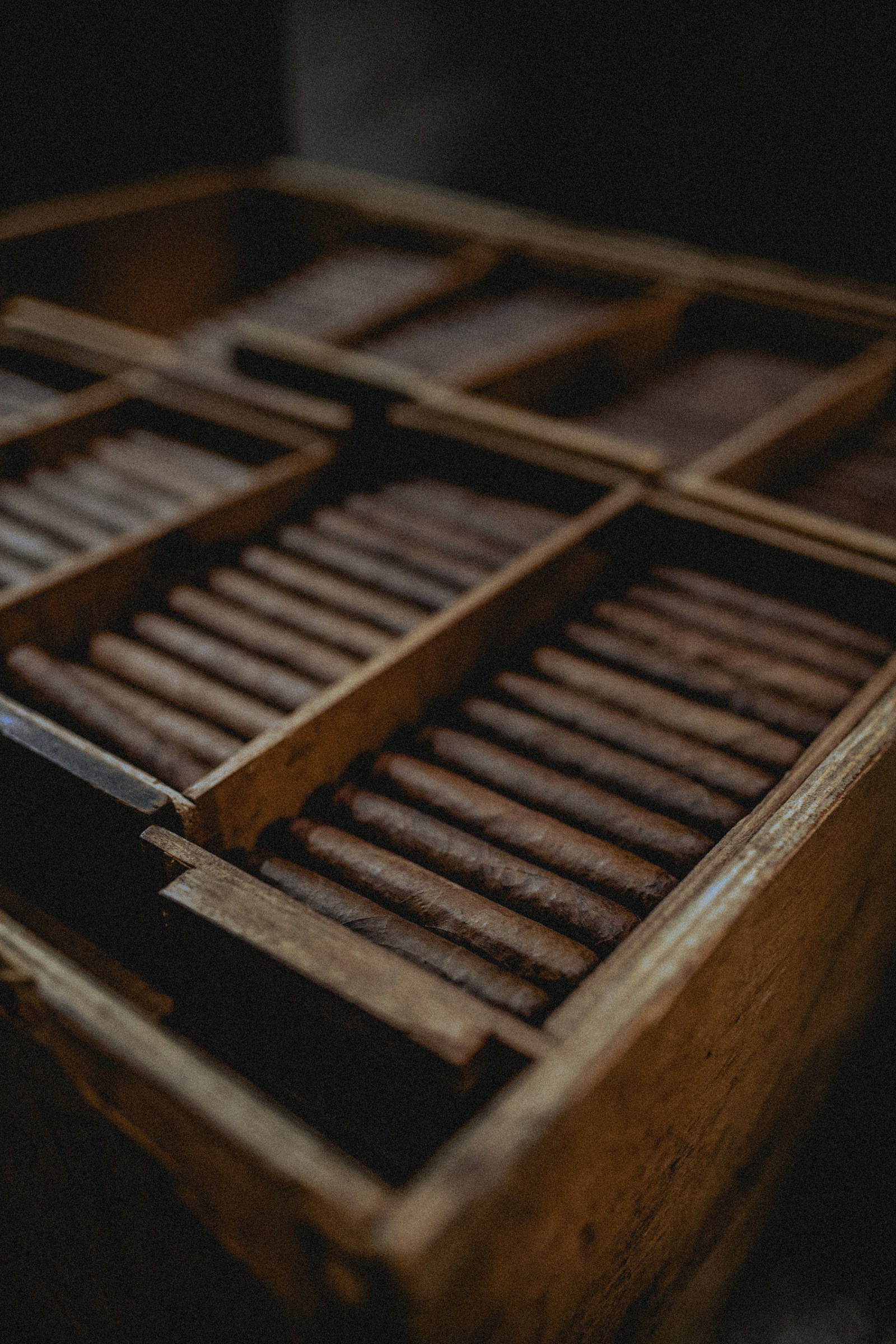 Types of cigars: A guide to sizes, shapes, and wrappers
